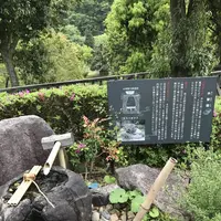 道の駅 掛合の里の写真・動画_image_134137