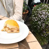 アマレーナの写真・動画_image_134266