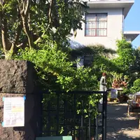鶴岡八幡宮の写真・動画_image_134281