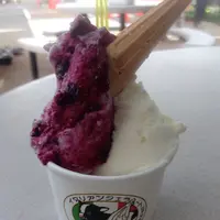 小田原牧場アイス工房の写真・動画_image_134299