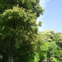 鈴虫寺（華厳寺）の写真・動画_image_134315