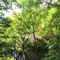 鈴虫寺（華厳寺）の写真・動画_image_134317