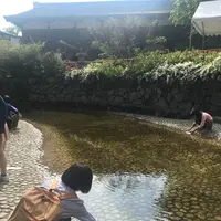 下鴨神社（賀茂御祖神社）の写真・動画_image_134331