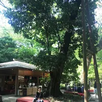 糺ノ森の写真・動画_image_134339