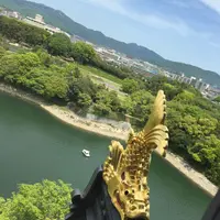 岡山城の写真・動画_image_134412