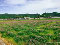 備中国分寺の写真・動画_image_134413