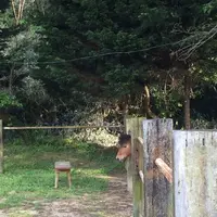 （有）安富牧場の写真・動画_image_134430