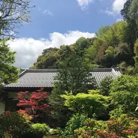 鈴虫寺（華厳寺）の写真・動画_image_134455