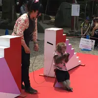 浅草神社（三社さま）の写真・動画_image_134702