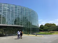 新宿御苑の写真・動画_image_134712