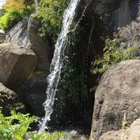 四柱神社の写真・動画_image_134780