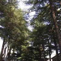 あがたの森公園の写真・動画_image_134790