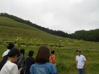 ココ・ファーム・ワイナリーの写真・動画_image_134842