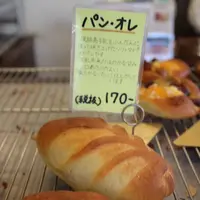 平野パンの写真・動画_image_134854