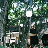 International Market Place（インターナショナルマーケットプレイス）の写真・動画_image_135006