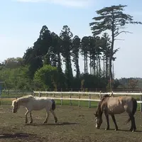 道の駅みさわ 斗南藩記念観光村の写真・動画_image_135053