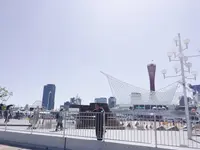 メリケンパークの写真・動画_image_135114