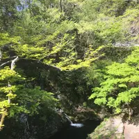 花貫渓谷の写真・動画_image_135268