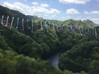 竜神大吊橋の写真・動画_image_135271