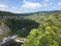 竜神大吊橋の写真・動画_image_135272