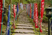 岩屋寺の写真・動画_image_135328