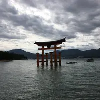 嚴島神社 大鳥居の写真・動画_image_135341