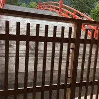 厳島神社の写真・動画_image_135343