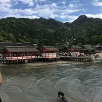 厳島神社の写真・動画_image_135346