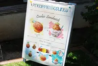 Pineapple Countyの写真・動画_image_135392