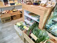 チーズのこえの写真・動画_image_135509