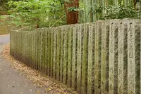 太山寺の写真・動画_image_135533