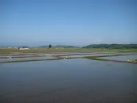 上杉神社の写真・動画_image_135645