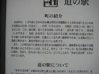 上杉神社の写真・動画_image_135681