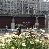 金沢駅の写真・動画_image_135709