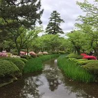 兼六園の写真・動画_image_135718