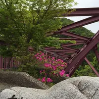 あやとりはしの写真・動画_image_135732