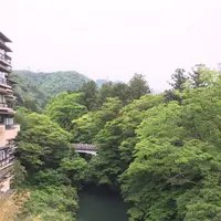 あやとりはしの写真・動画_image_135734