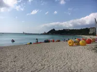ブセナ海中公園の写真・動画_image_135768