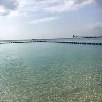 ブセナ海中公園の写真・動画_image_135769