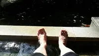 下部ホテルの写真・動画_image_135772