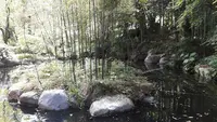 下部ホテルの写真・動画_image_135773