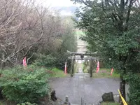 壱岐島の写真・動画_image_135868