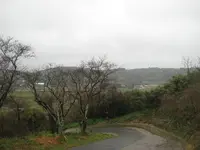 壱岐島の写真・動画_image_135869