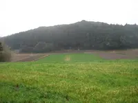 壱岐島の写真・動画_image_135870