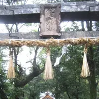 壱岐島の写真・動画_image_135872