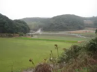 壱岐島の写真・動画_image_135875