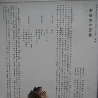 壱岐島の写真・動画_image_135886