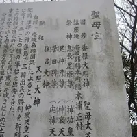 壱岐島の写真・動画_image_135889