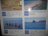 壱岐島の写真・動画_image_135904