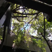 cafe kaeruの写真・動画_image_135968